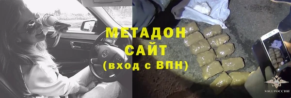 сатива Новодвинск