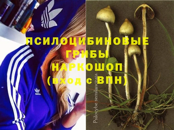 MESCALINE Новокубанск