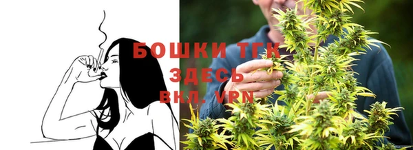 крисы Кропоткин