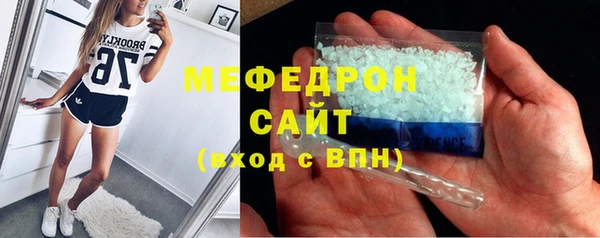 сатива Новодвинск