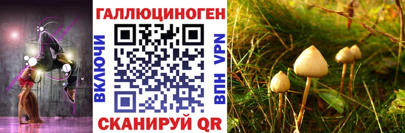 Галлюциногенные грибы мицелий Курчатов