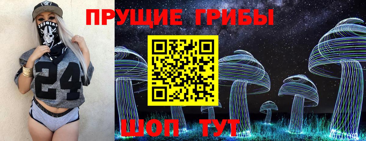 Псилоцибиновые грибы прущие грибы Курчатов
